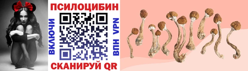 ссылка на мегу ONION  Меленки  Галлюциногенные грибы мухоморы 